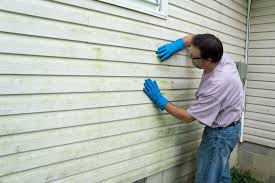 Best Fiber Cement Siding Installation  in Jamestown, OH